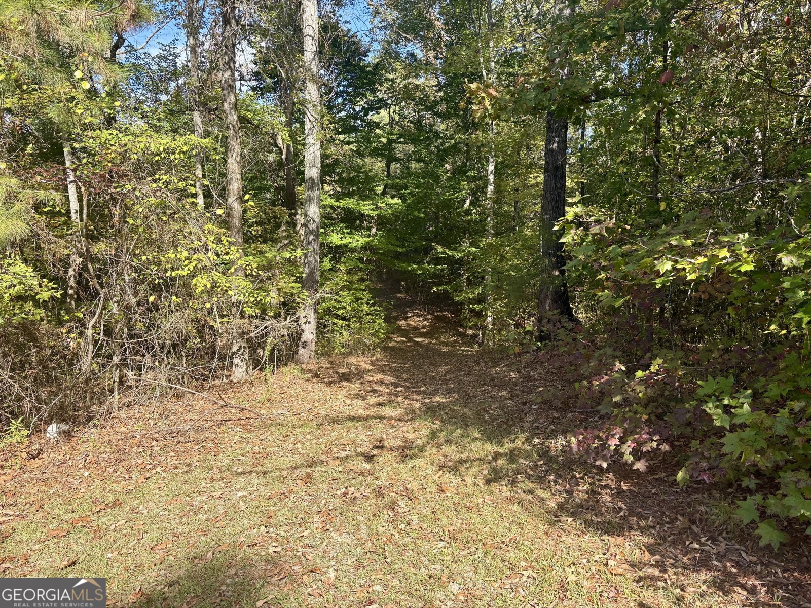 1902 Jackson Lake Road Mansfield - Photo 33