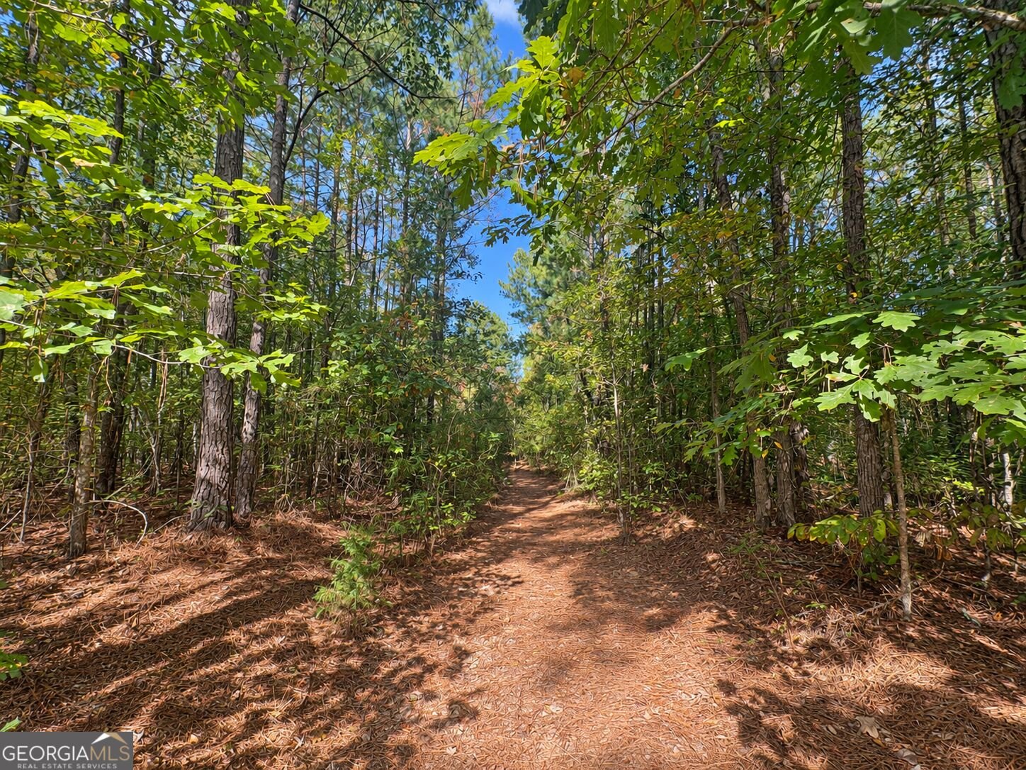 1902 Jackson Lake Road Mansfield - Photo 34