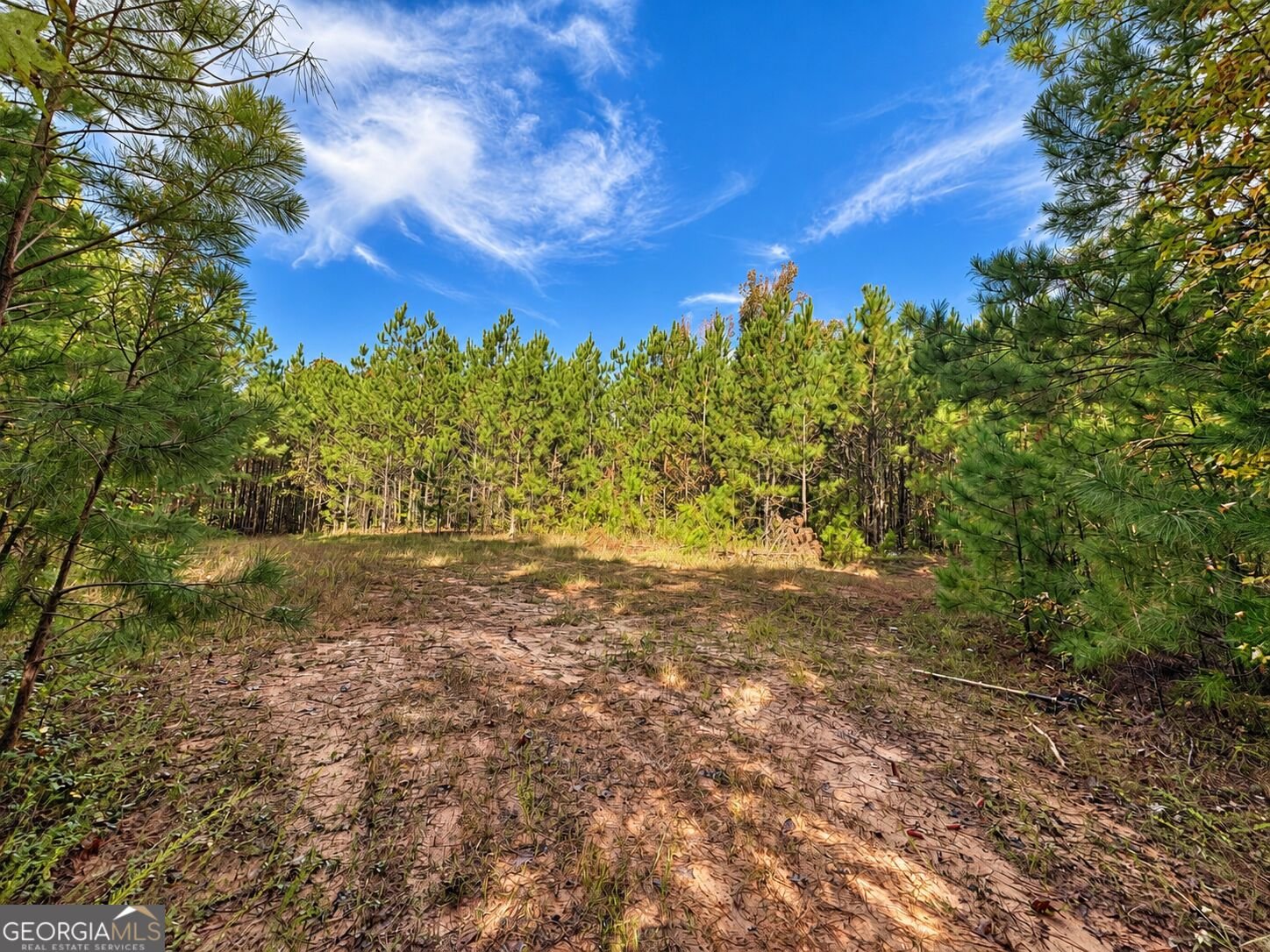 1902 Jackson Lake Road Mansfield - Photo 35