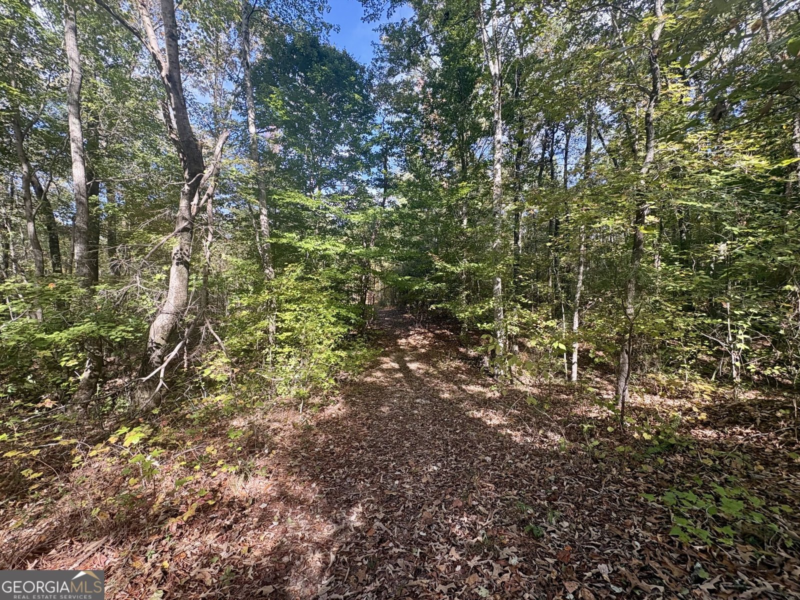 1902 Jackson Lake Road Mansfield - Photo 39