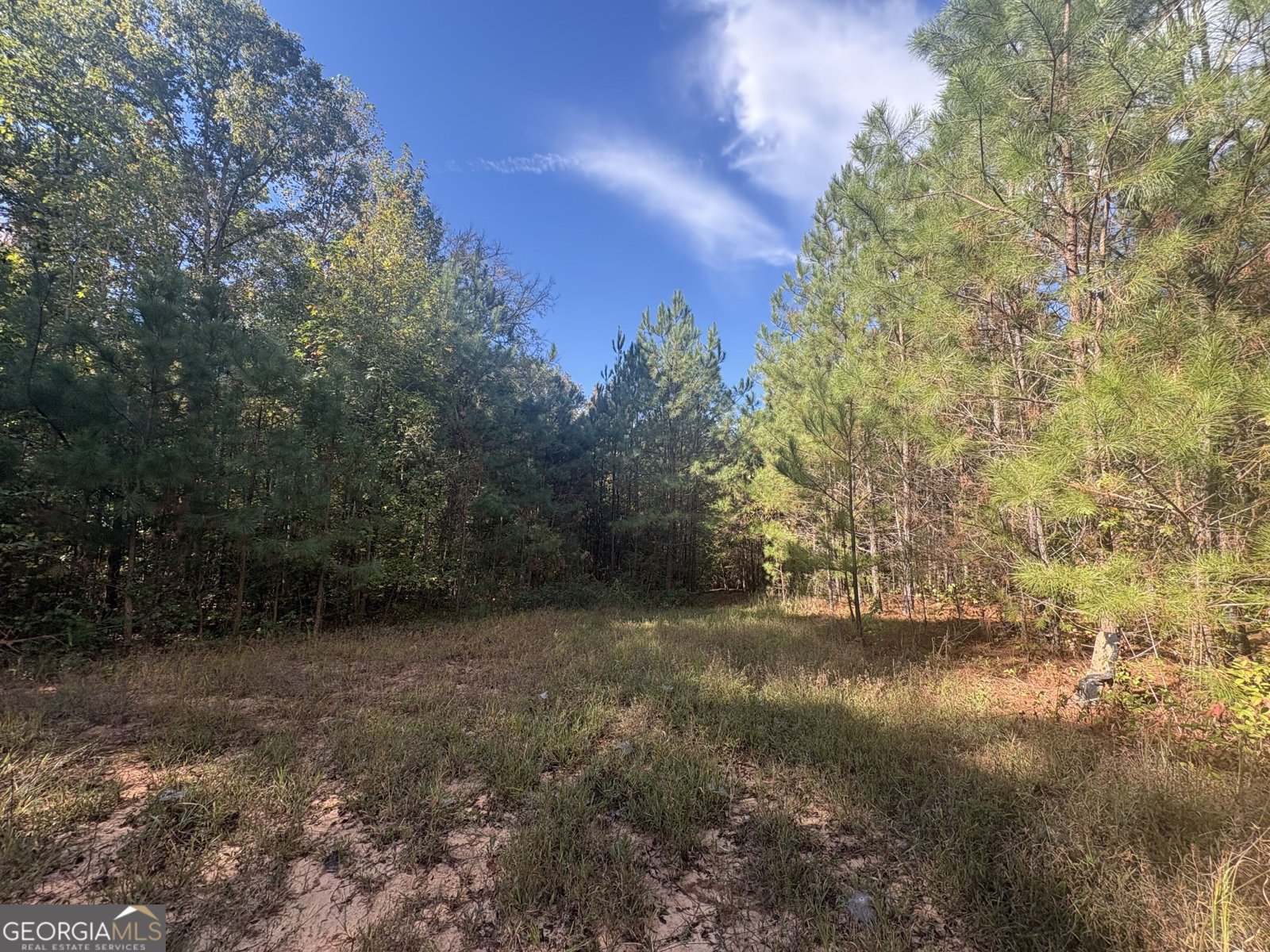 1902 Jackson Lake Road Mansfield - Photo 41