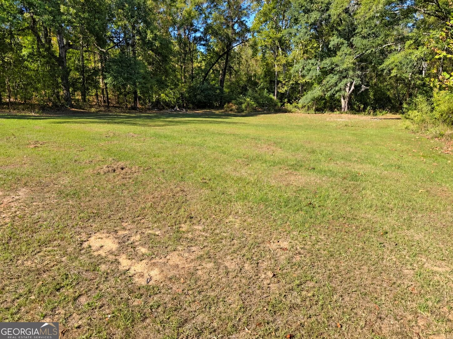 310 4th Avenue Buena Vista - Photo 19