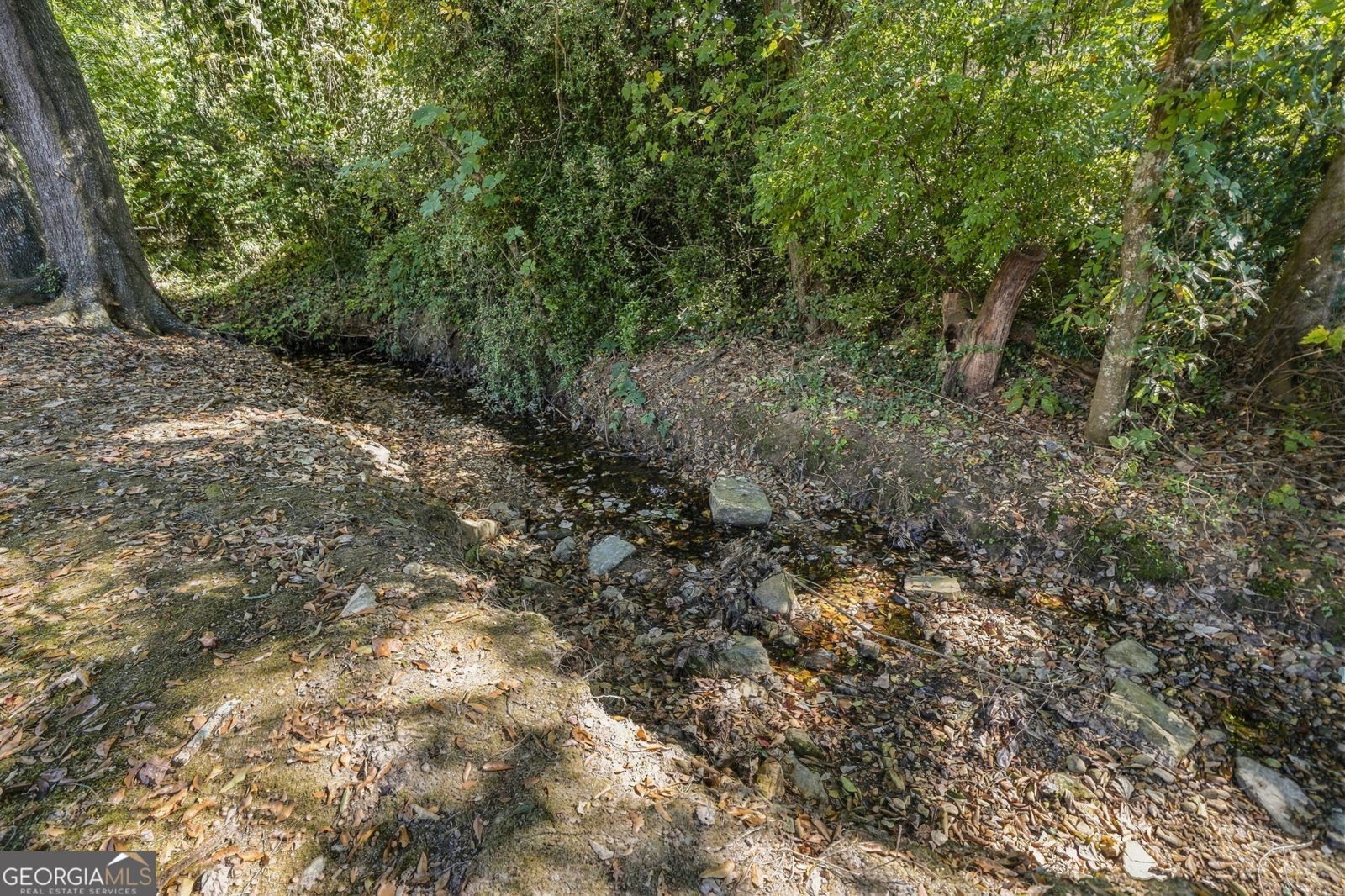 314 Shoal Creek Road Canton - Photo 50