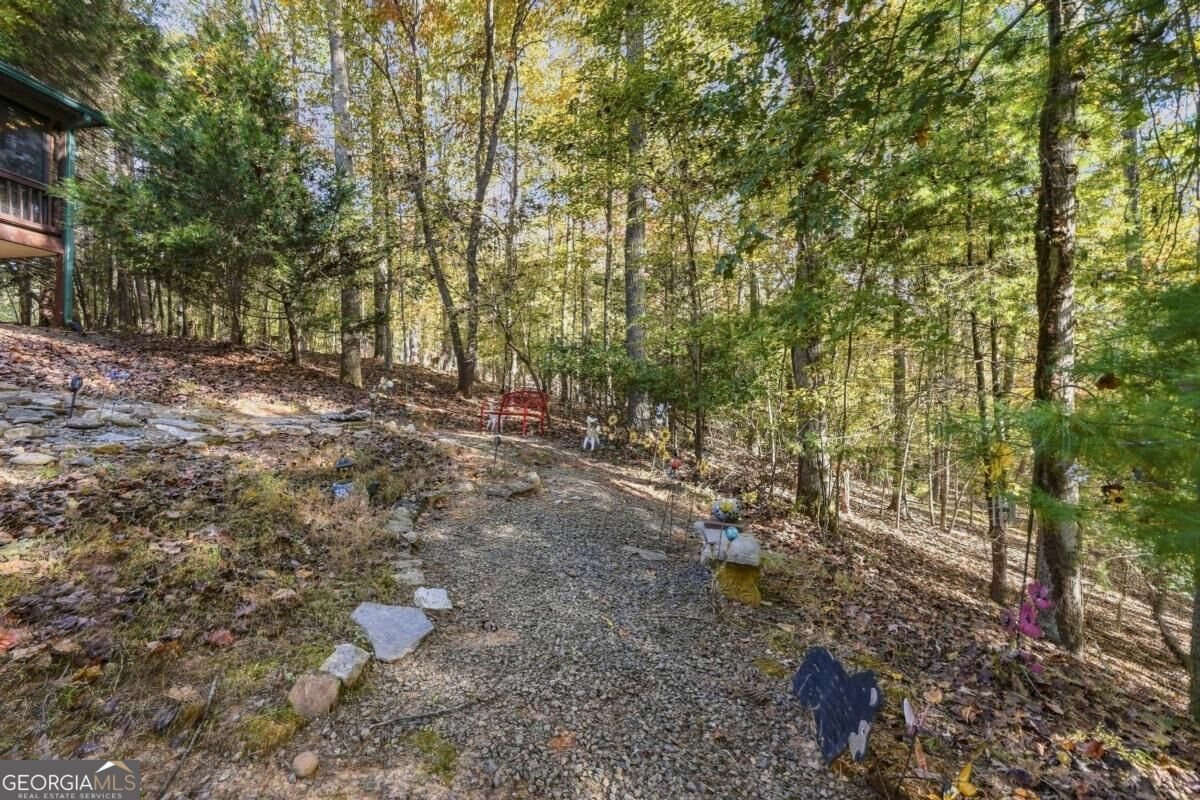 44 Hamlet Court Ellijay - Photo 47