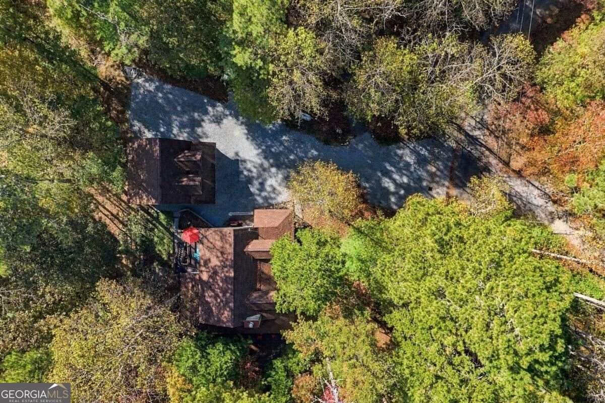 44 Hamlet Court Ellijay - Photo 69