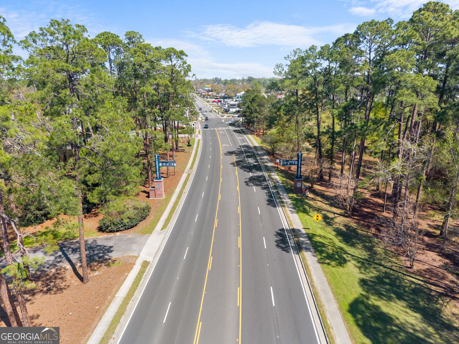 312 Rogers Road Statesboro - Photo 41