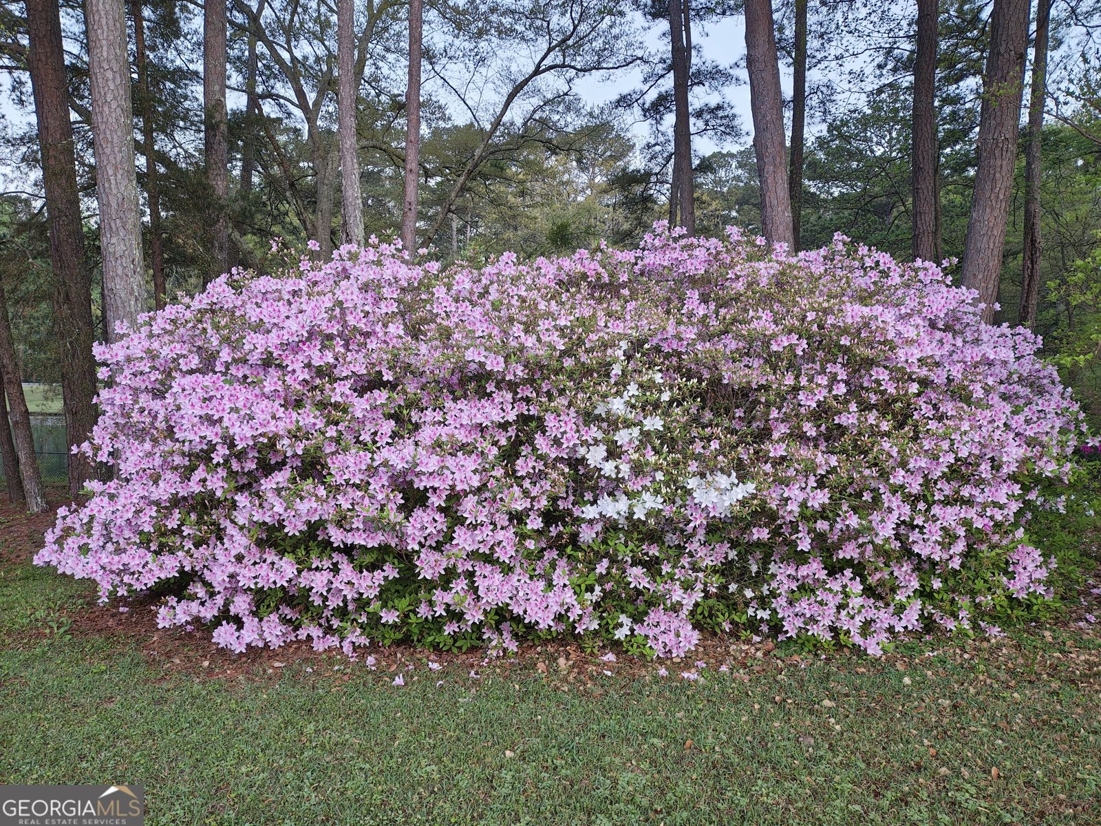 21 Magnolia Drive Newnan - Photo 107