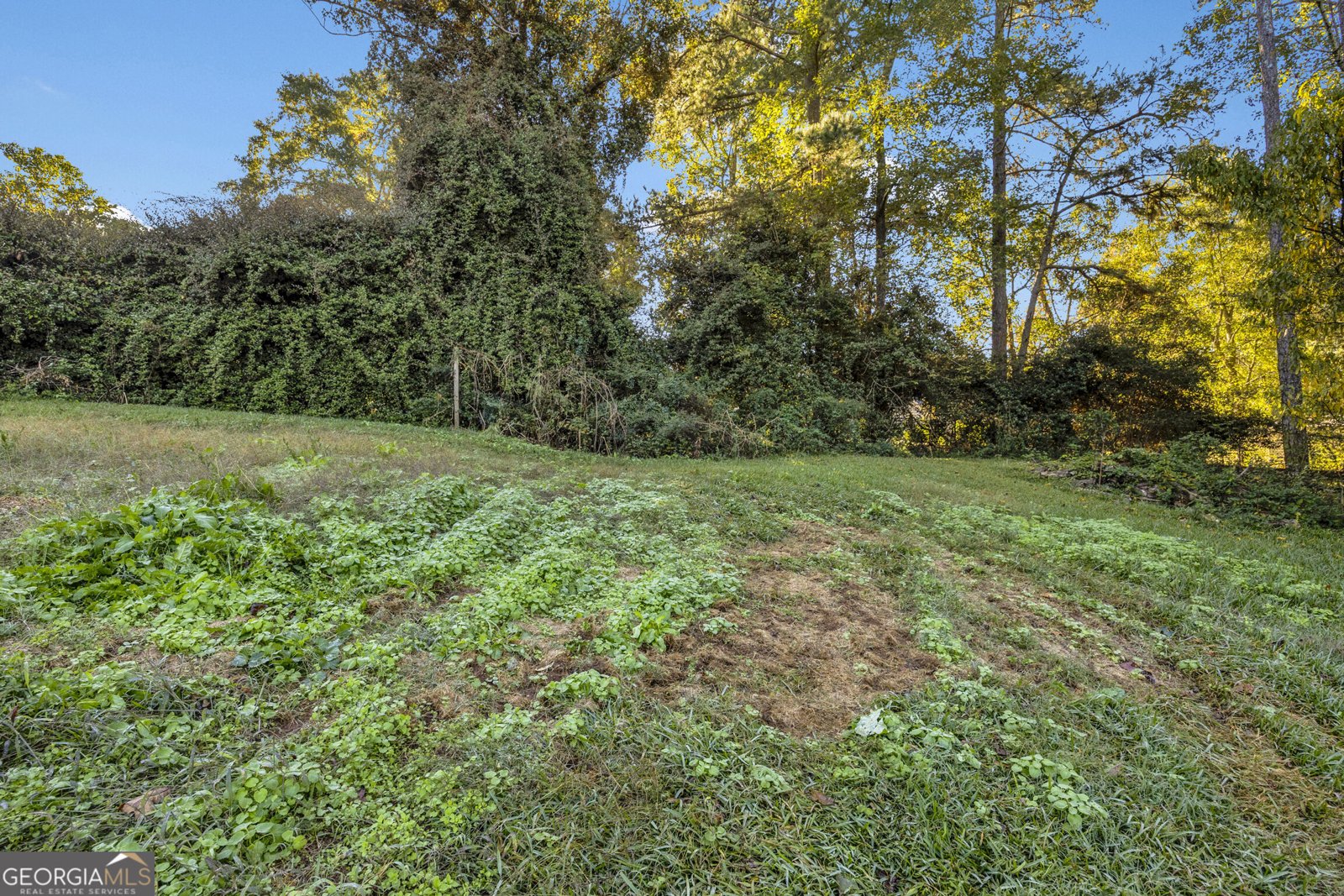 4770 Kensington Lane Conyers - Photo 34