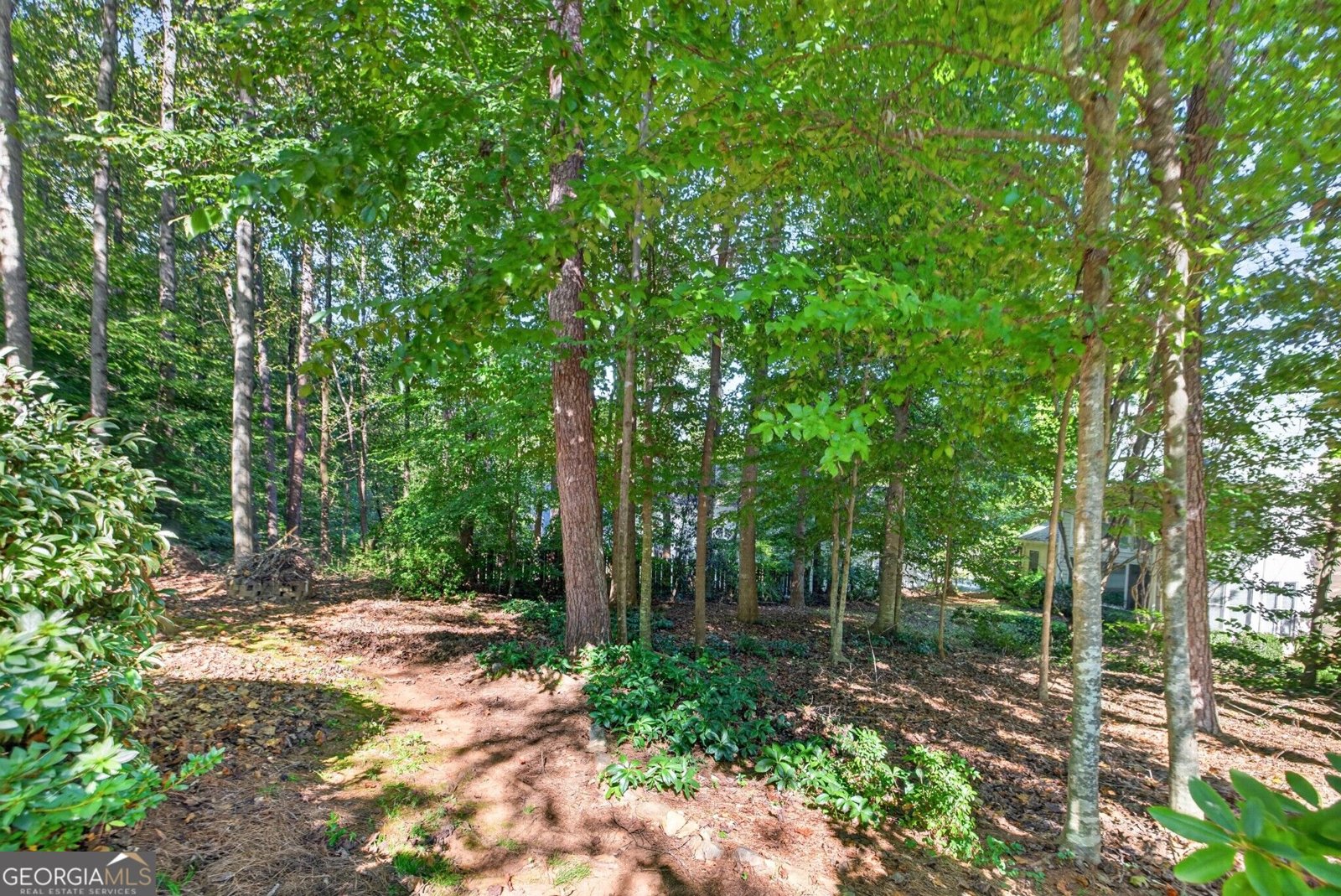 810 River Cove Drive Dacula - Photo 80