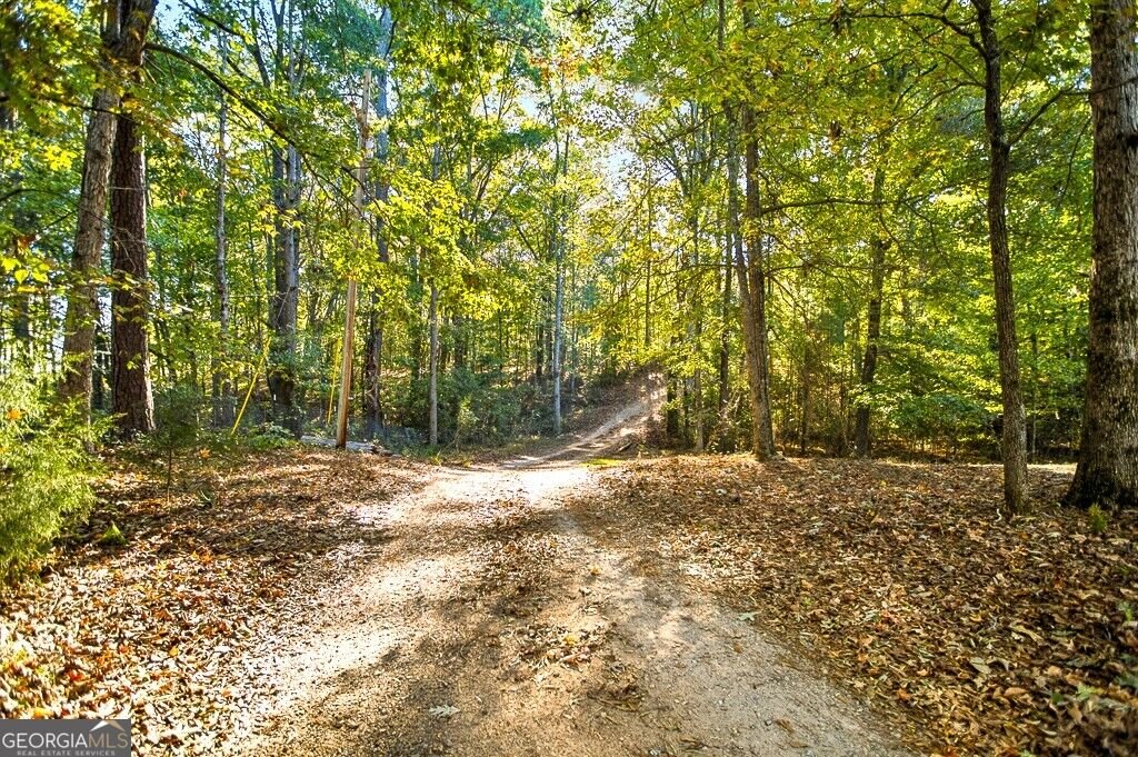 1061 Knight Road Madison - Photo 21
