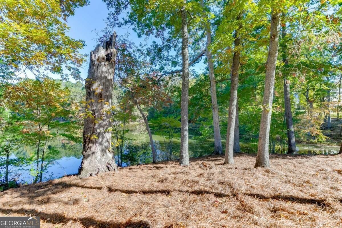 5760 Carruth Lake Drive Cumming - Photo 32