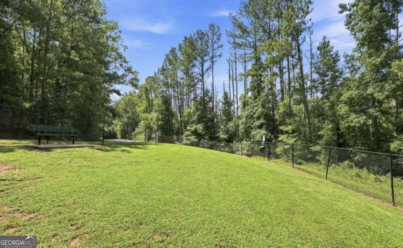 1308 Linkview Crossing Locust Grove - Photo 92