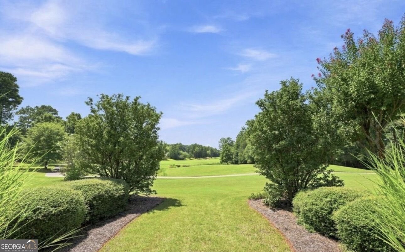 1308 Linkview Crossing Locust Grove - Photo 94
