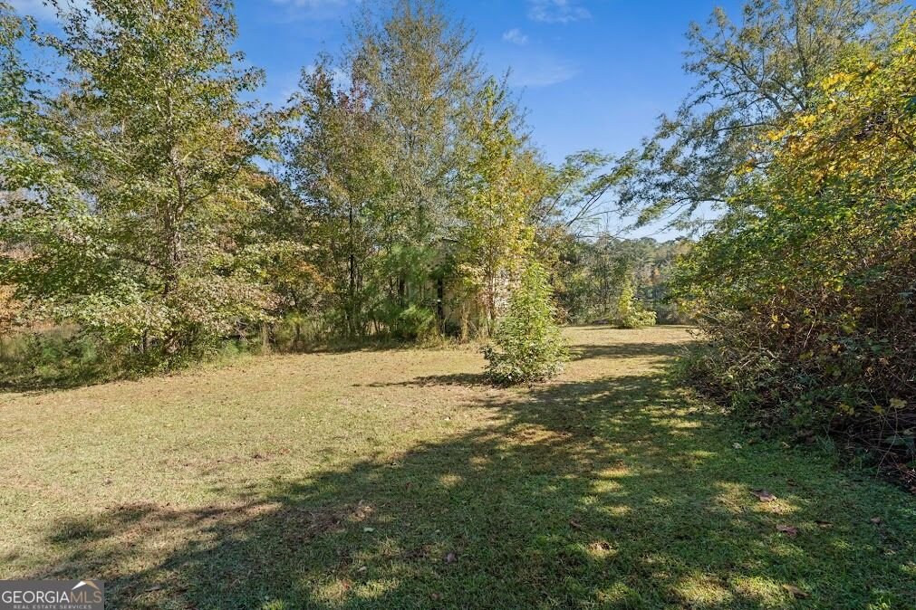 45 Brown Place Newnan - Photo 14