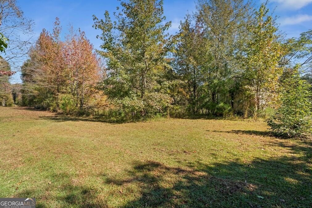 45 Brown Place Newnan - Photo 17