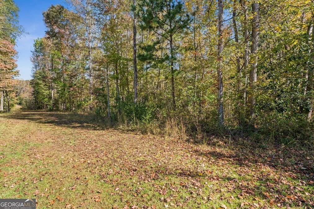 45 Brown Place Newnan - Photo 19