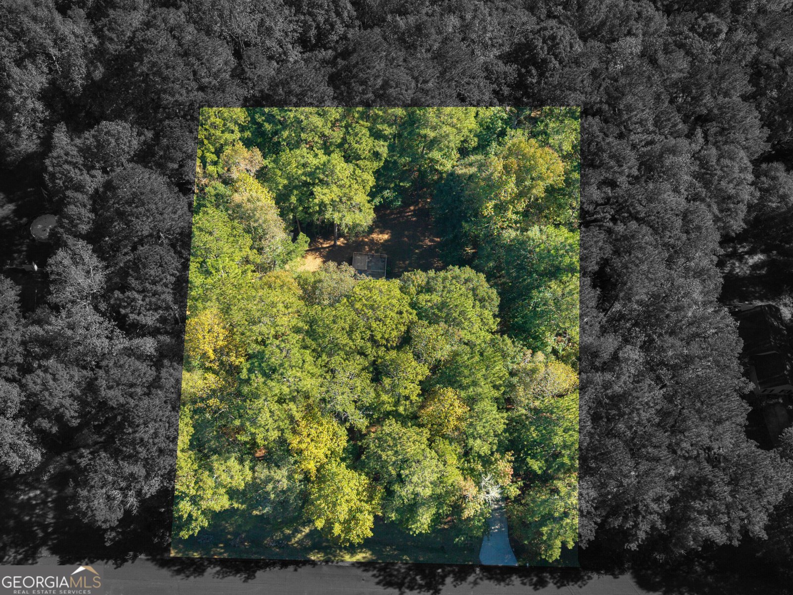 130 Leguin Lane Locust Grove - Photo 46