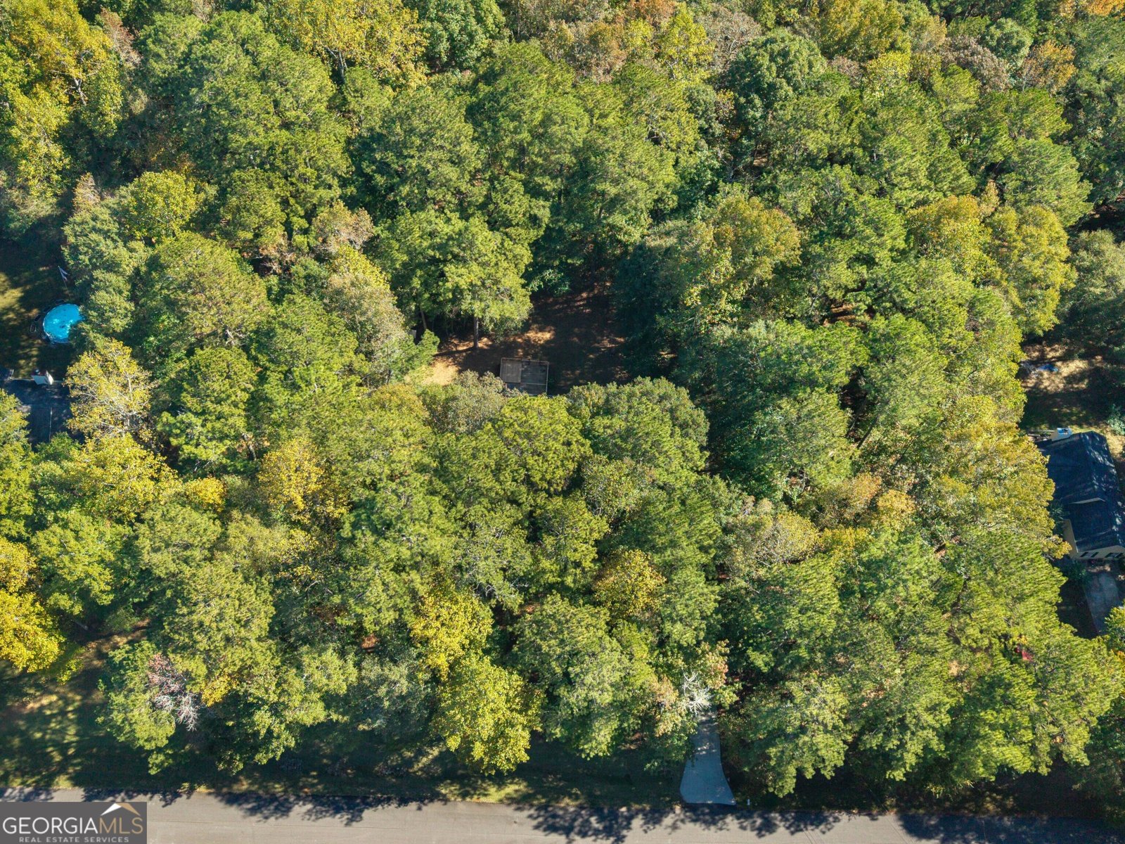 130 Leguin Lane Locust Grove - Photo 47