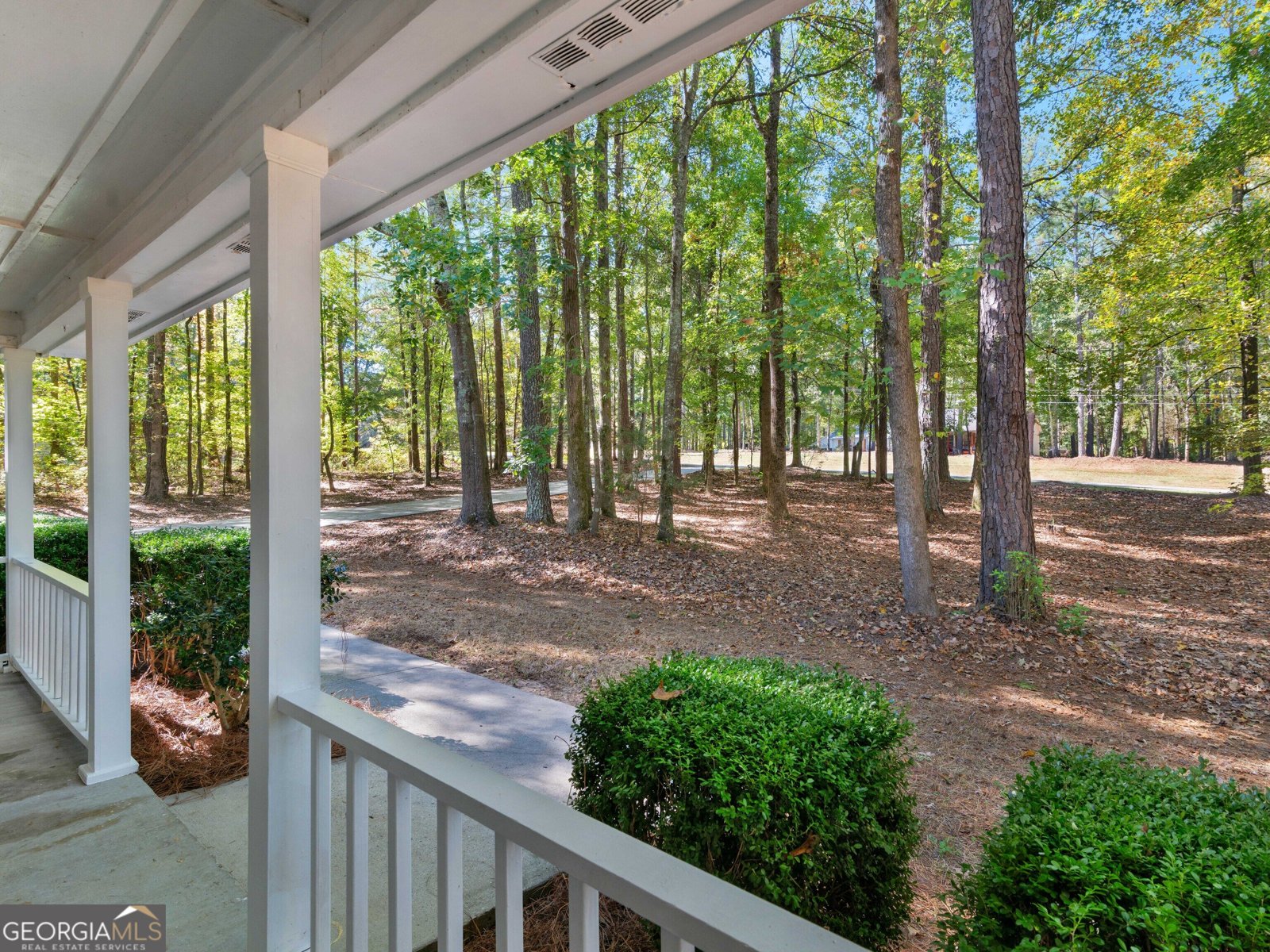 130 Leguin Lane Locust Grove - Photo 6