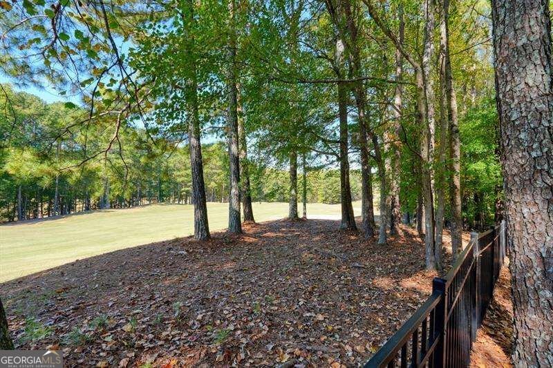 3195 Eagle Watch Drive Woodstock - Photo 67