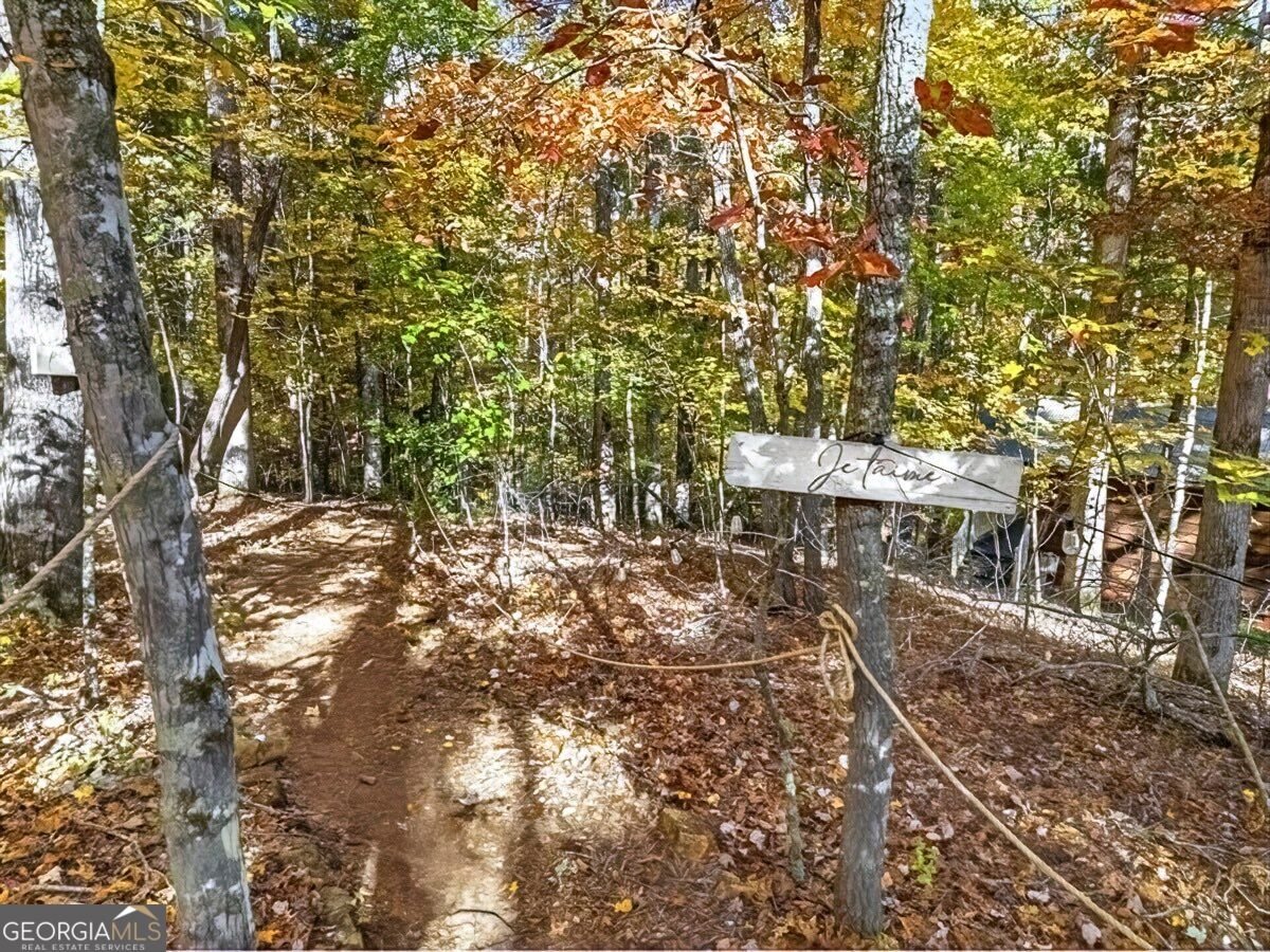 235 Cherokee Trail Mccaysville - Photo 25