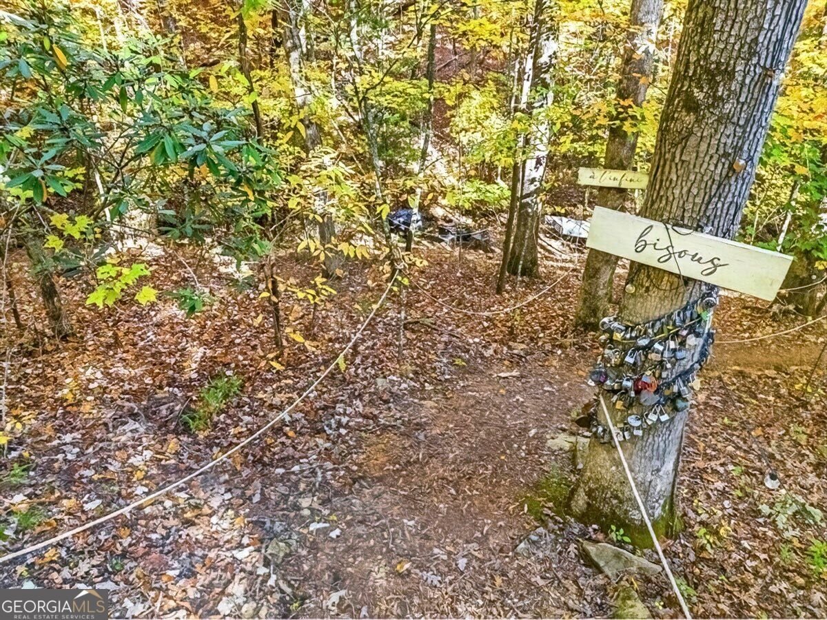 235 Cherokee Trail Mccaysville - Photo 26