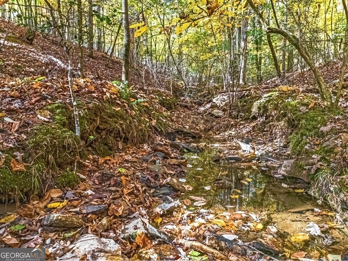 235 Cherokee Trail Mccaysville - Photo 27