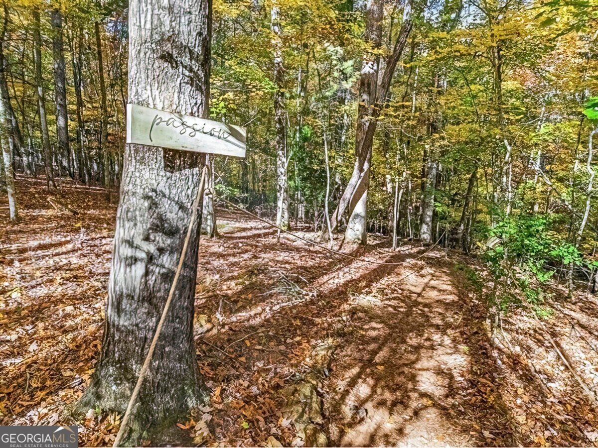 235 Cherokee Trail Mccaysville - Photo 28