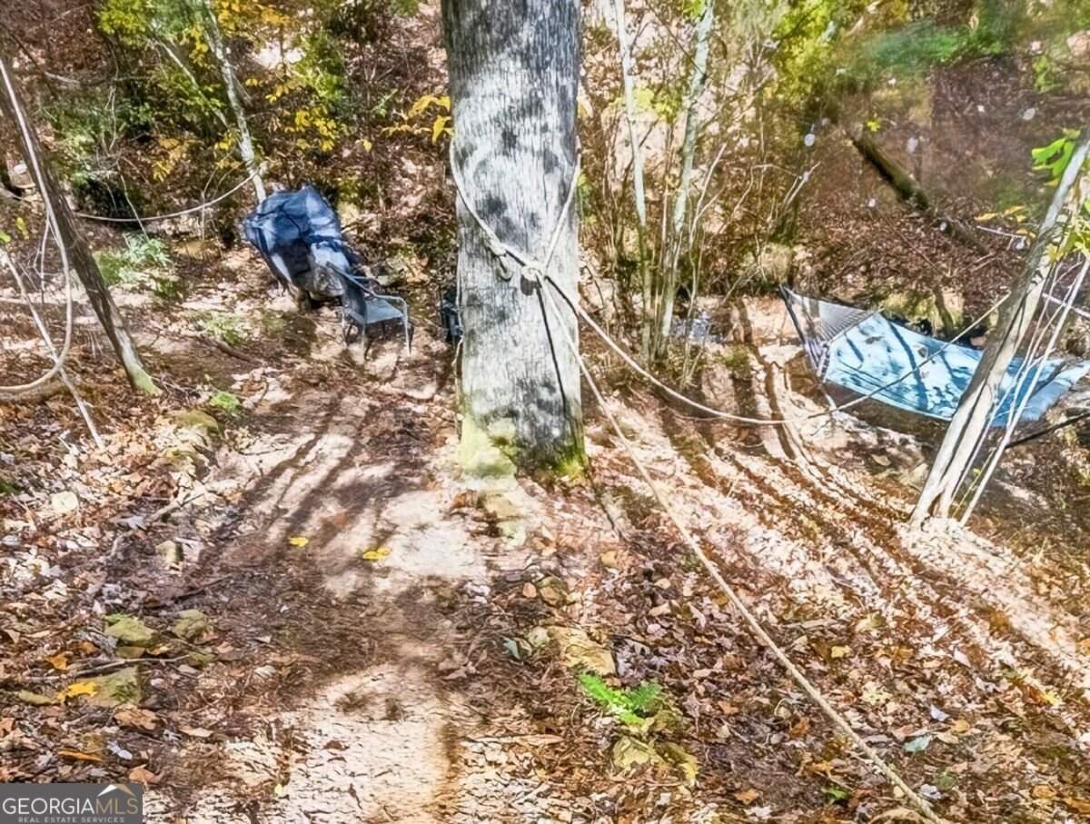 235 Cherokee Trail Mccaysville - Photo 29