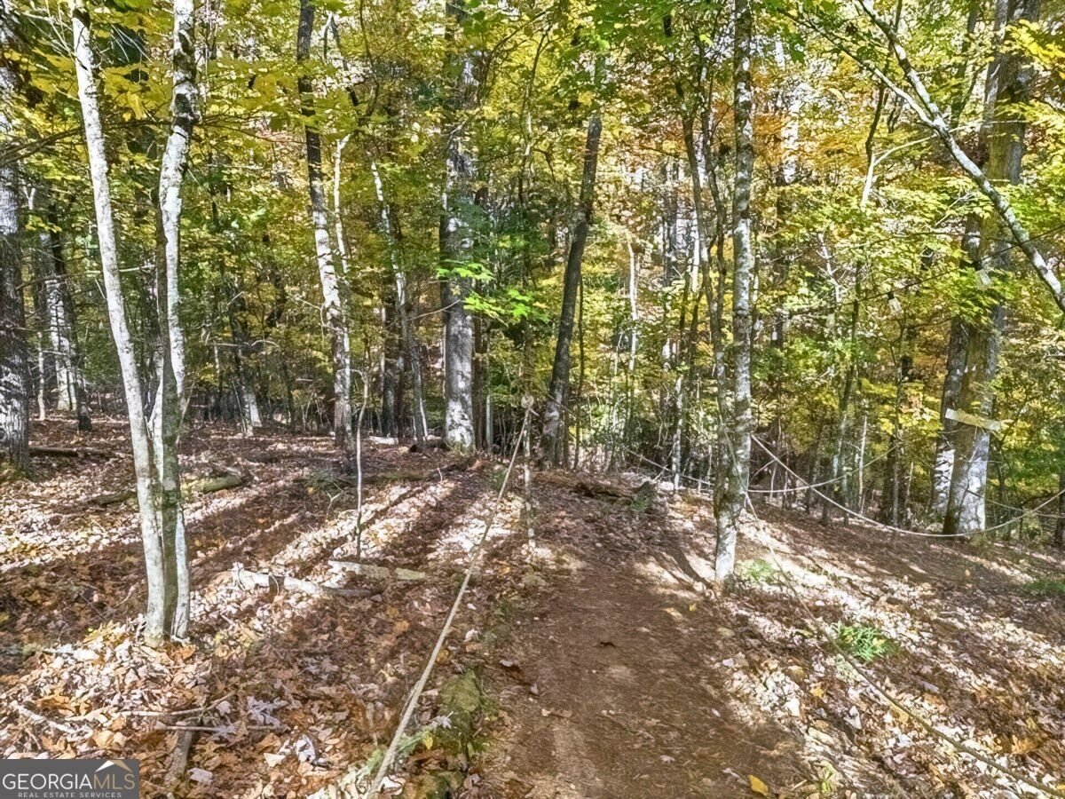 235 Cherokee Trail Mccaysville - Photo 32