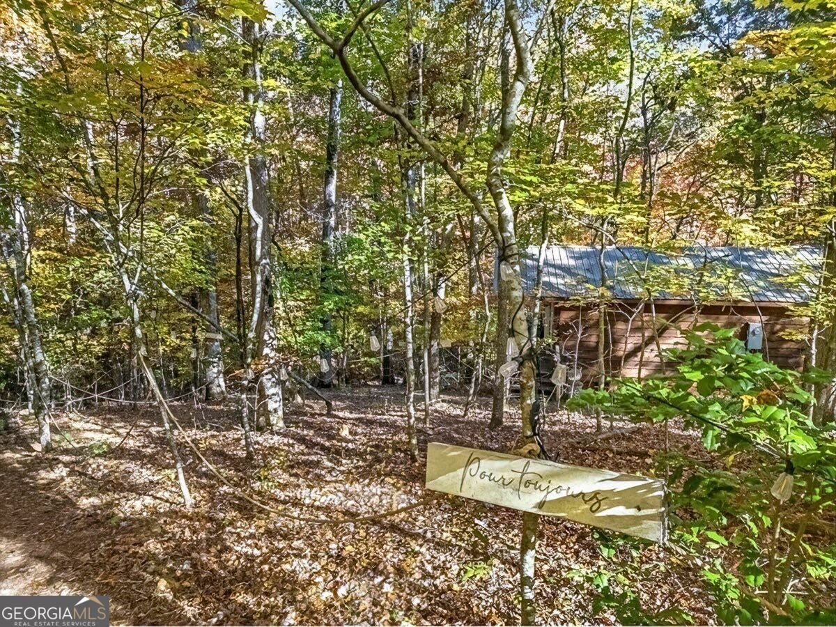 235 Cherokee Trail Mccaysville - Photo 33