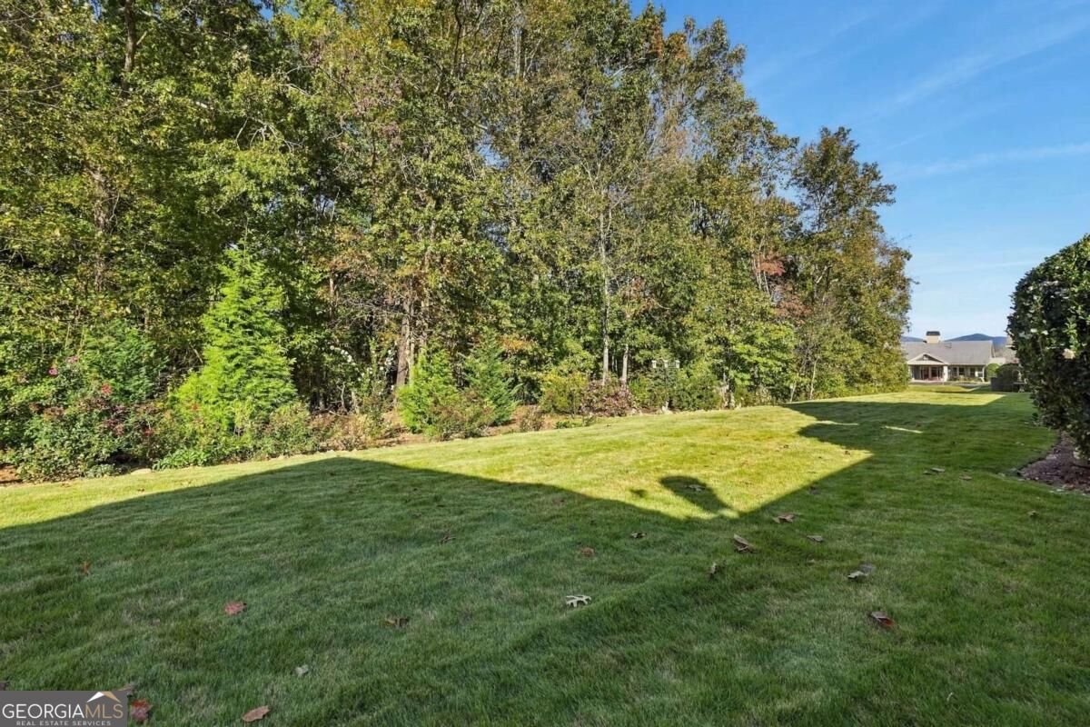 354 Summit Drive Dahlonega - Photo 43
