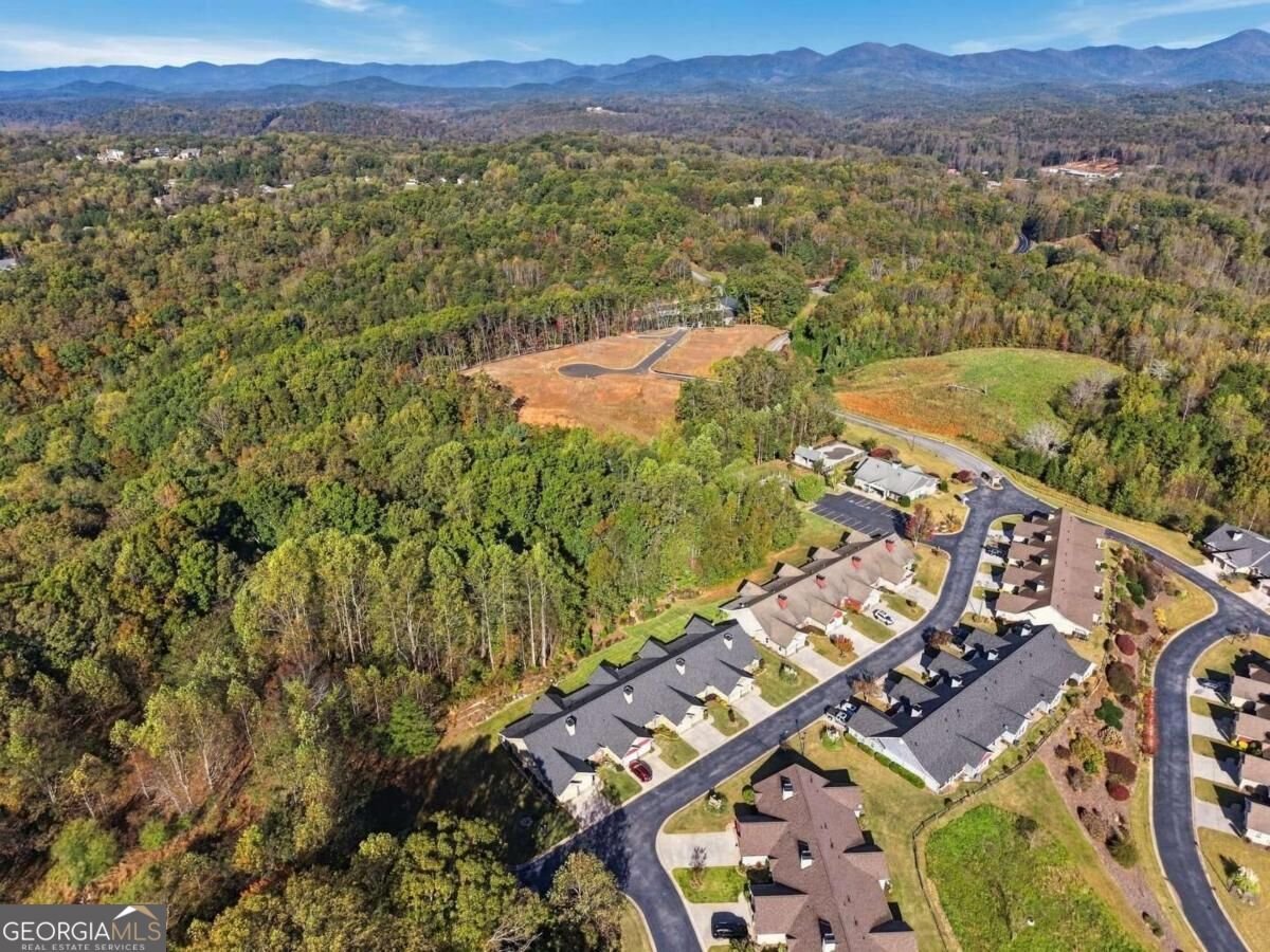 354 Summit Drive Dahlonega - Photo 45
