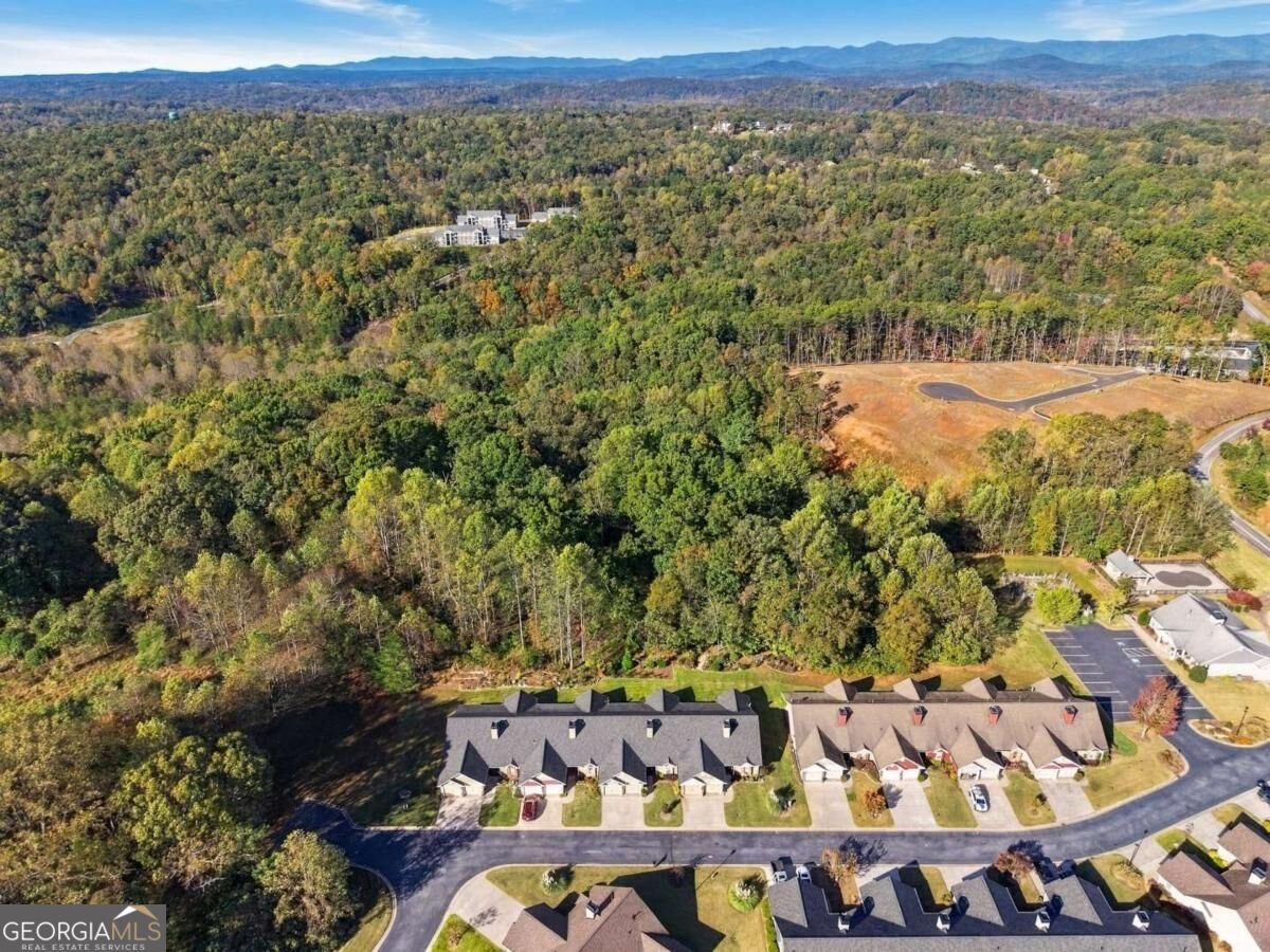 354 Summit Drive Dahlonega - Photo 46