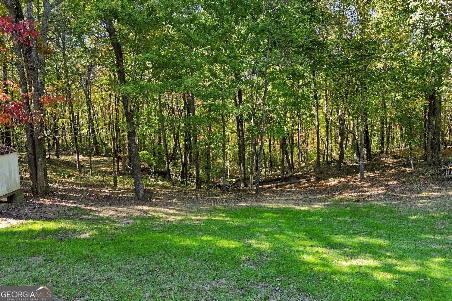 99 Adrianne Lane Dawsonville - Photo 39