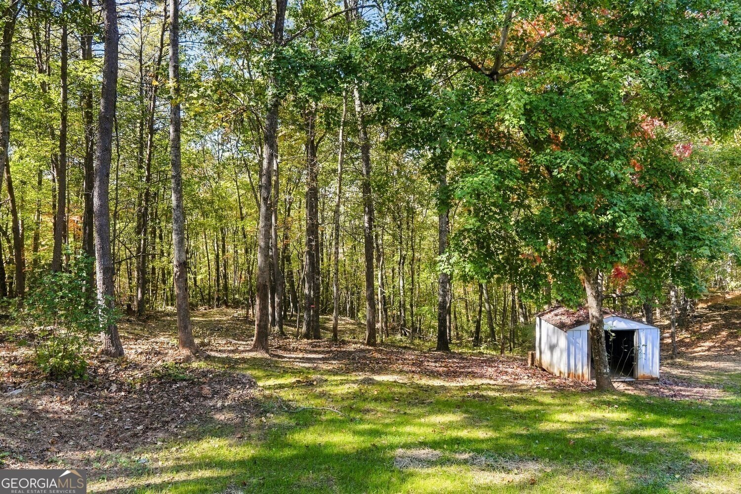 99 Adrianne Lane Dawsonville - Photo 40