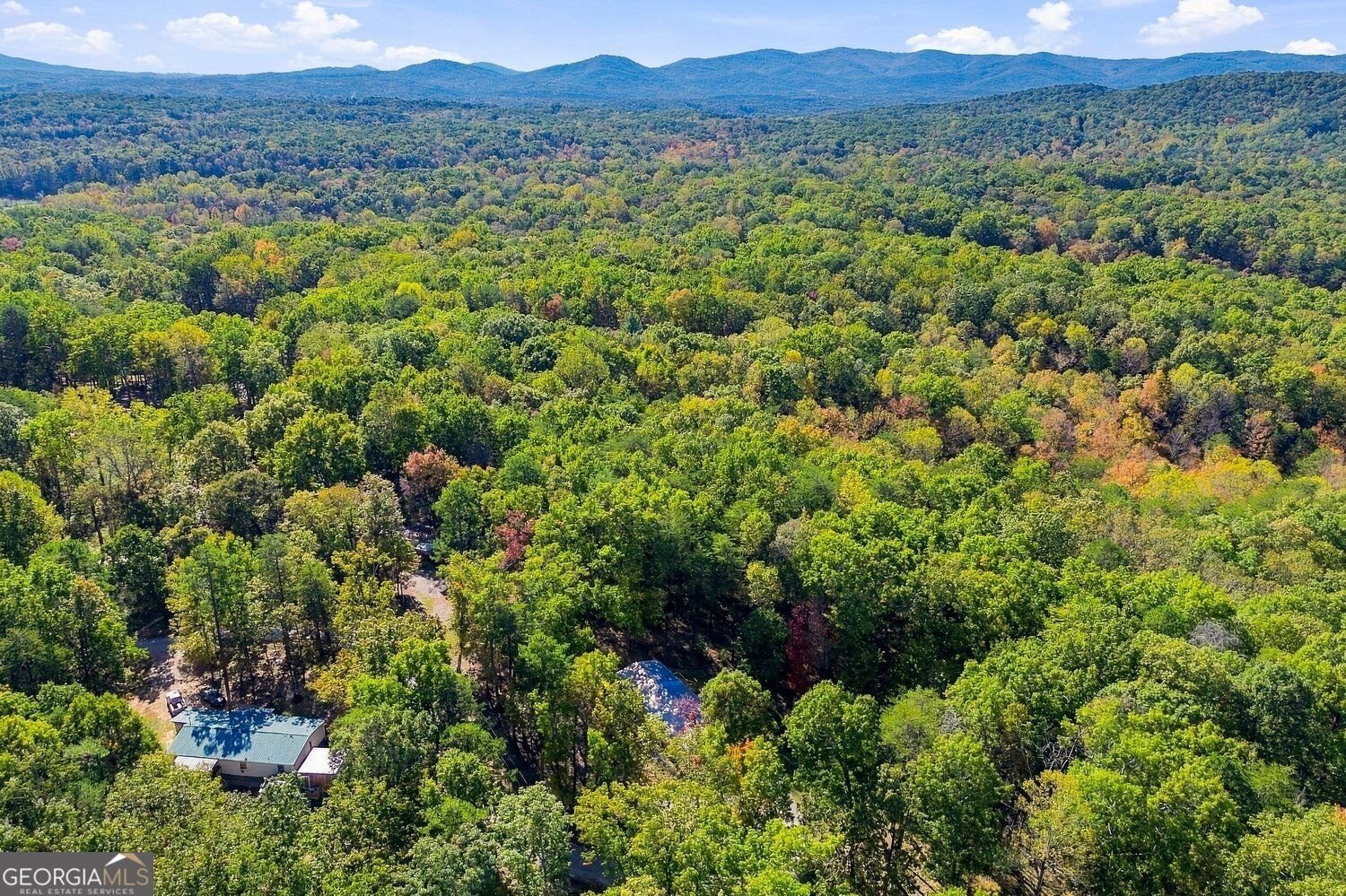 99 Adrianne Lane Dawsonville - Photo 49