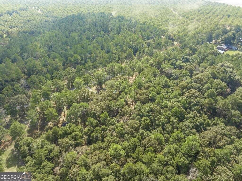1915 Old Macon Road Fort Valley - Photo 52