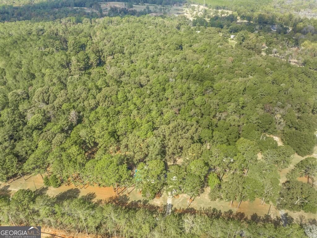 1915 Old Macon Road Fort Valley - Photo 56