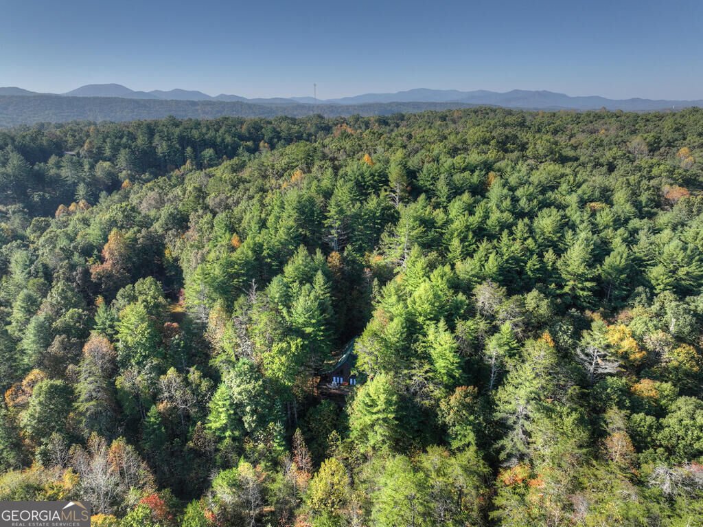 259 Old Woods Road Morganton - Photo 10