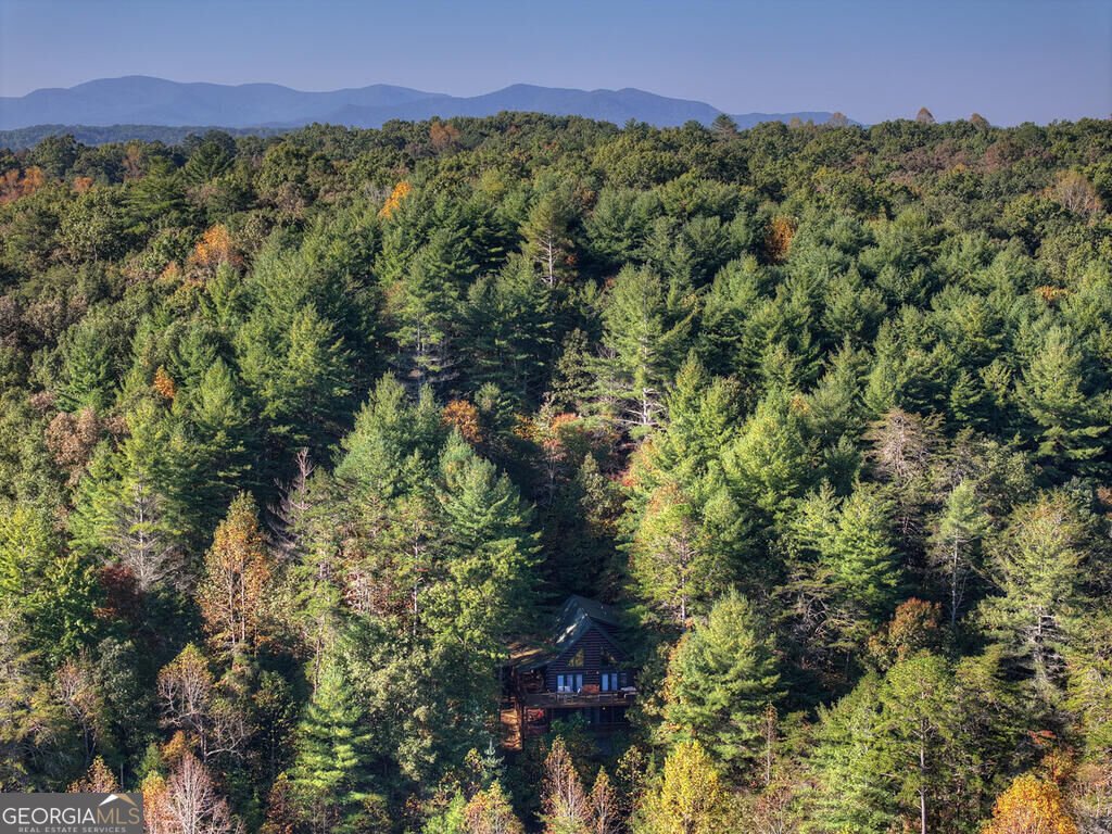 259 Old Woods Road Morganton - Photo 12