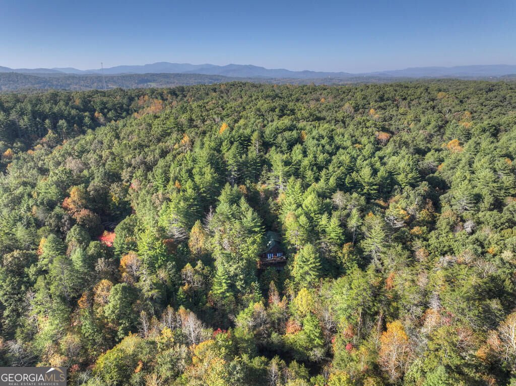 259 Old Woods Road Morganton - Photo 15