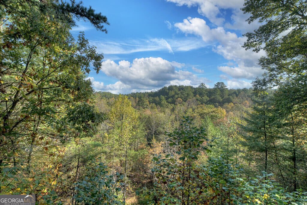 259 Old Woods Road Morganton - Photo 32