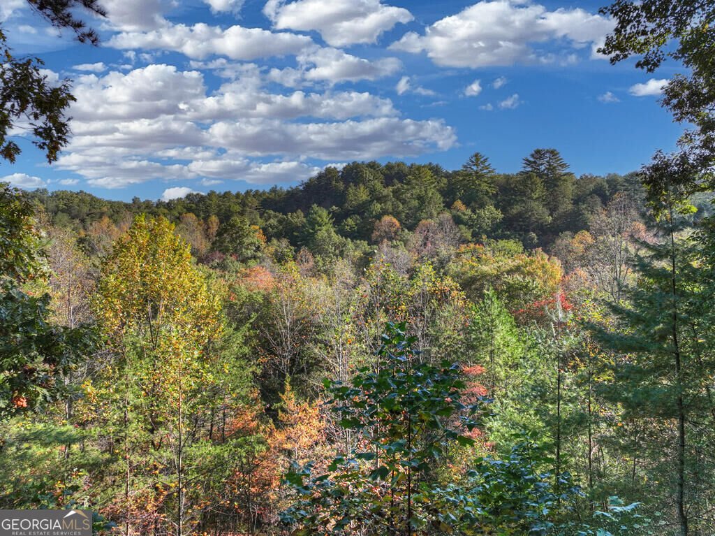 259 Old Woods Road Morganton - Photo 40