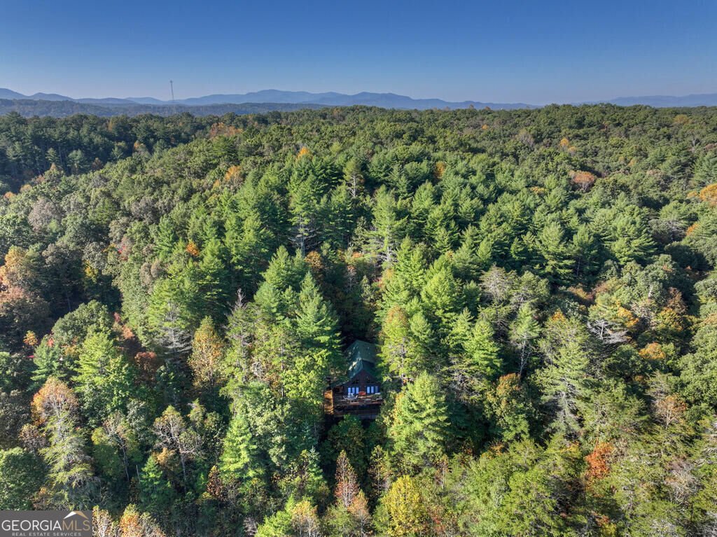 259 Old Woods Road Morganton - Photo 9