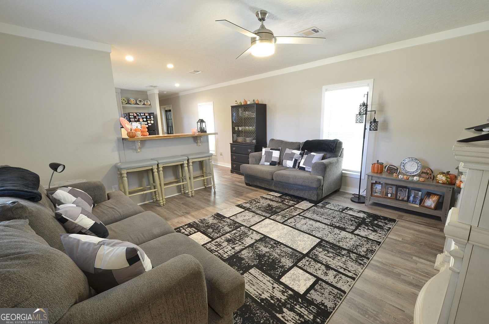 41 Grace Drive Eastman - Photo 11