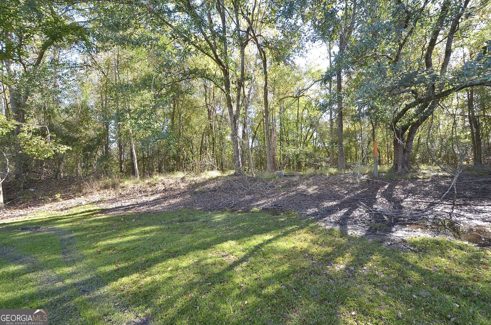 41 Grace Drive Eastman - Photo 45