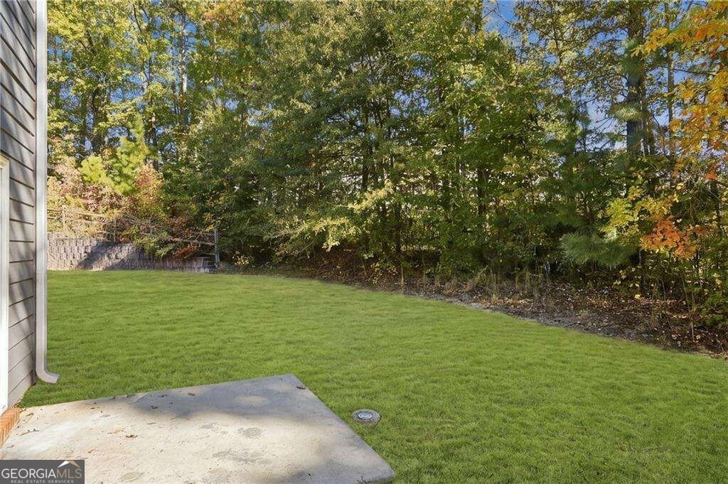 3210 Cedar Glade Lane Buford - Photo 41