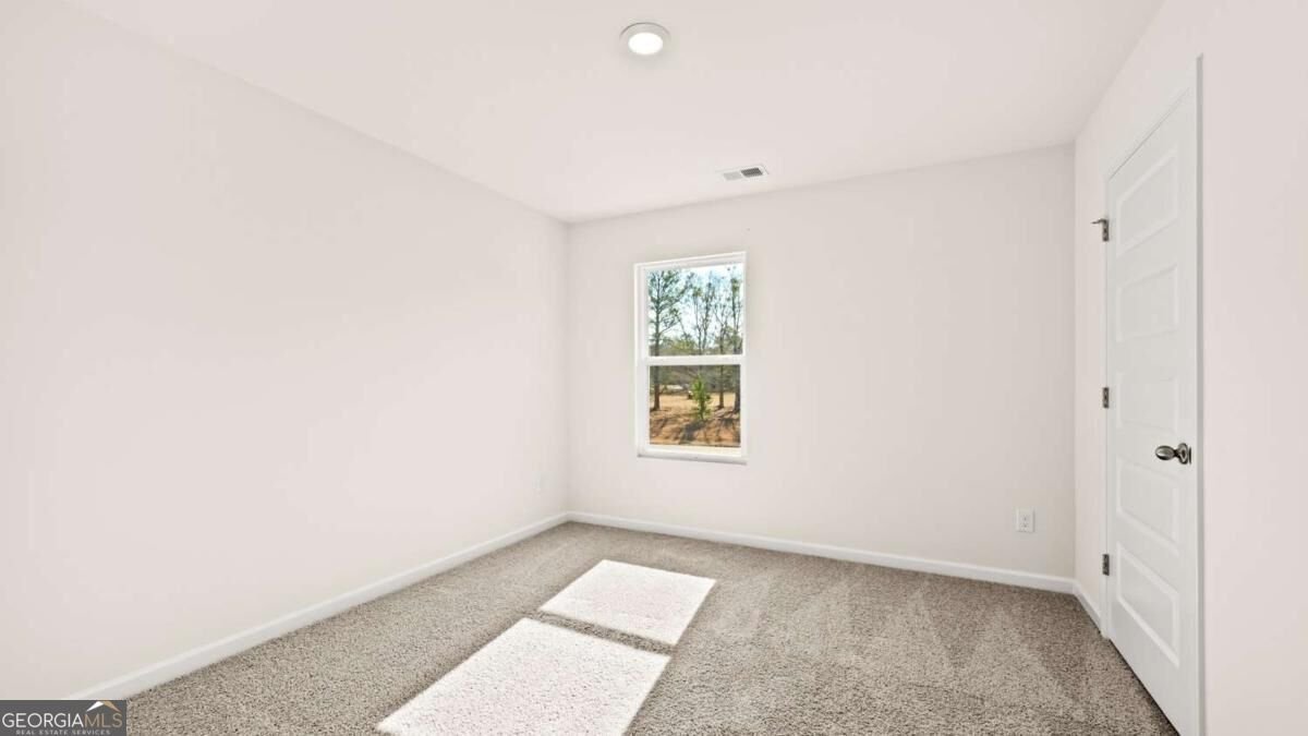 135 White Spruce Way Newnan - Photo 14