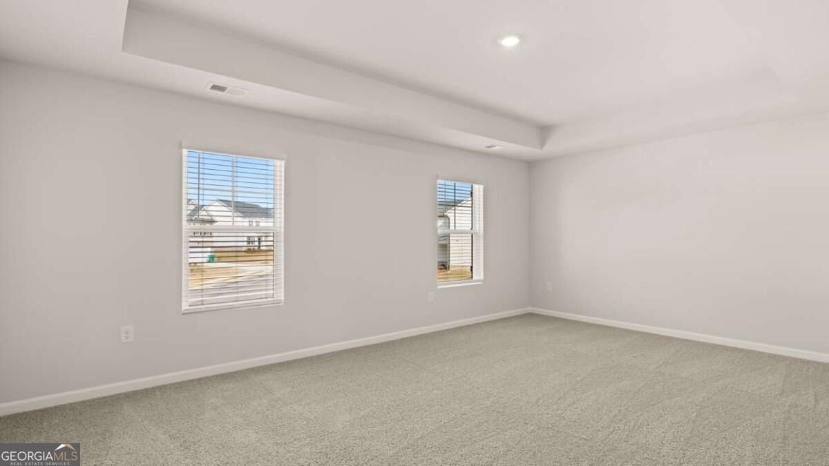 131 White Spruce Way Newnan - Photo 22